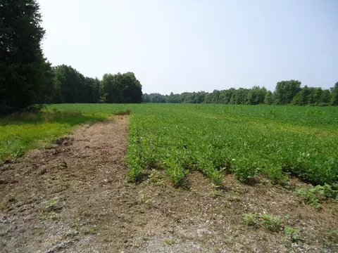 0 Park Rd, Perry Twp, OH 45118