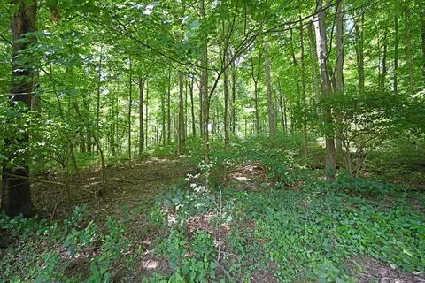 4599 Shepherds Way, Batavia, OH 45103 photo 39