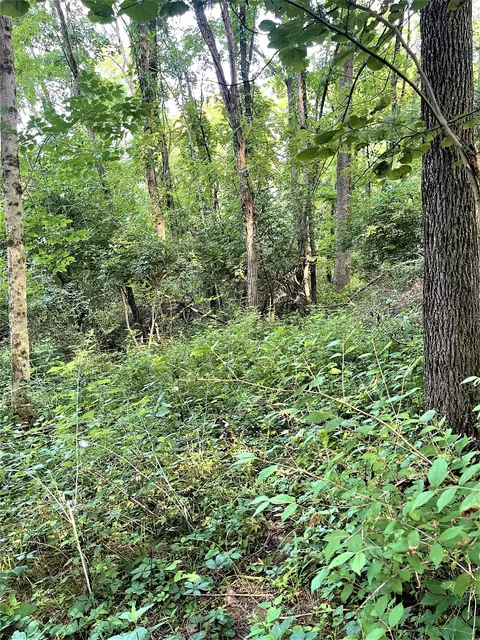 Pea Ridge, Brookville, IN 47012