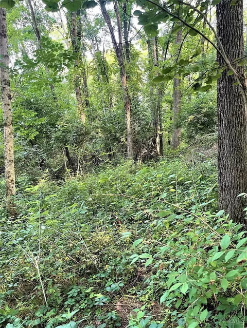 0 Pea Ridge Rd, Brookville, IN 47012