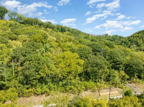4352 Hillside, Cincinnati, OH 45233 photo 6