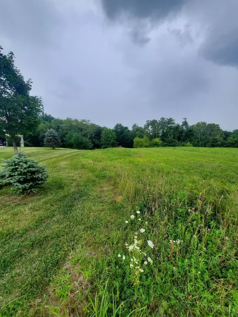 71 Lily, Bethel, OH 45106