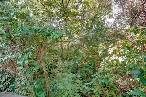 183 Garfield, Cincinnati, OH 45246 photo 44