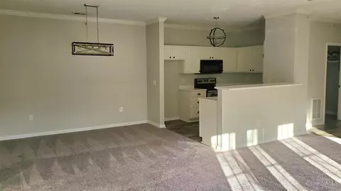 5461 Michelles Oak #E, Cincinnati, OH 45248 photo 14