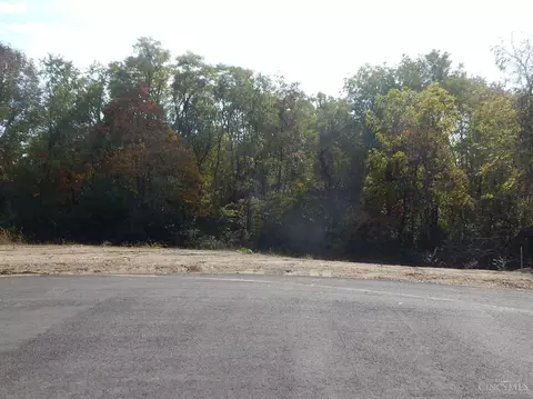 0 Todds Fork Reserves, Adams Twp, OH 45177