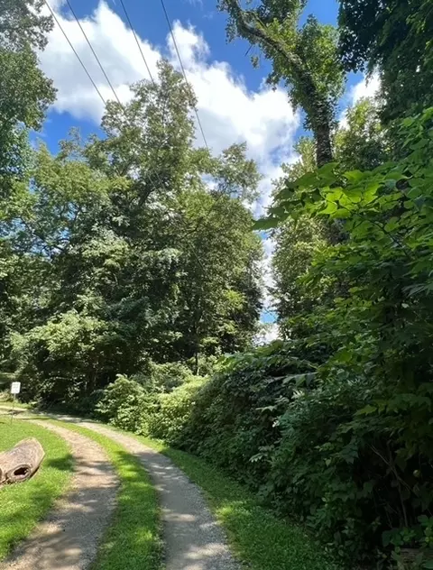 96 Birch, Cincinnati, OH 45233