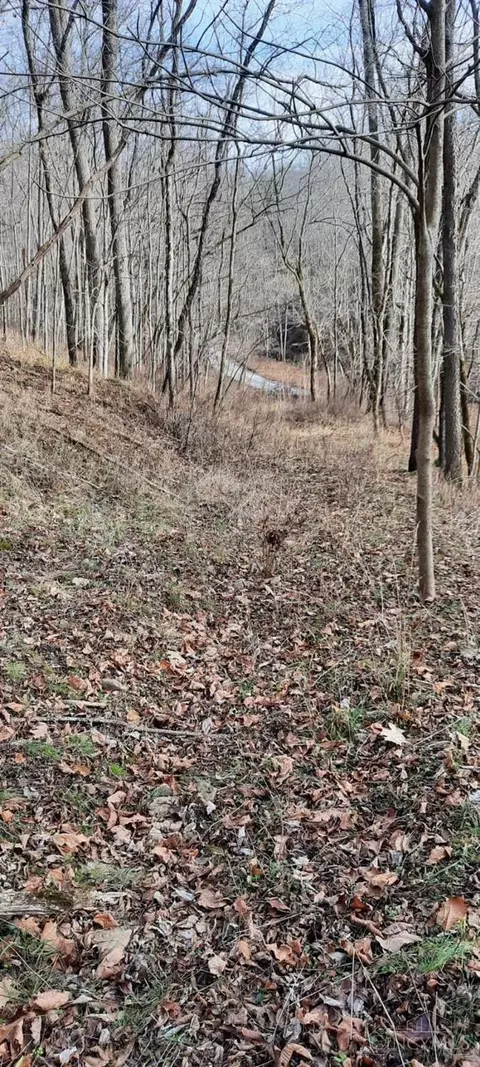 0 Myers Hollow Rd, Ripley, OH 45167