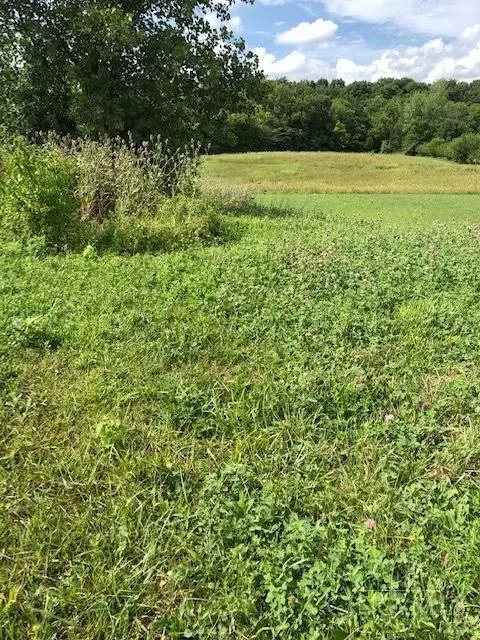 0 Wyatt Fls, Leesburg, OH 45135
