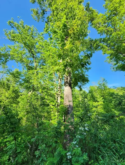 1838 Bailey Chapel Rd, Scioto Twp, OH 45613 photo 15