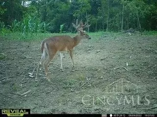 0 Us 52, Aberdeen, OH 45101