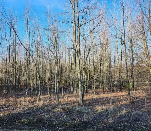 0 Pennington Ln, Jackson Twp, OH 45176