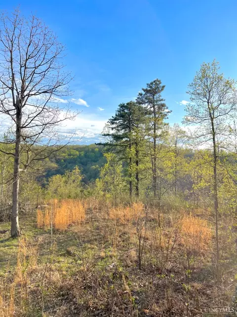 1 Roy Rogers, Lucasville, OH 45648