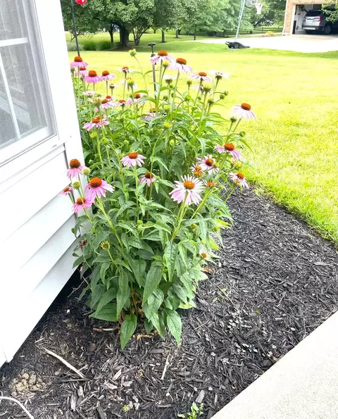 Exterior - 4724 Brookfield Ct, Cincinnati, OH 45244 photo 6 of 11
