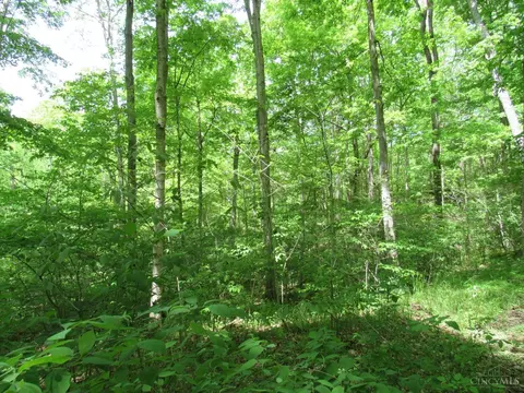 5491 Thomas Rd, Lewis Twp, OH 45121 photo 5