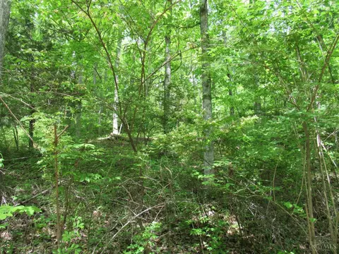 5491 Thomas Rd, Lewis Twp, OH 45121 photo 13