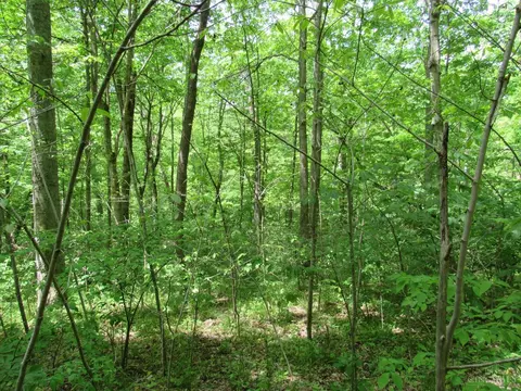 5491 Thomas Rd, Lewis Twp, OH 45121 photo 2
