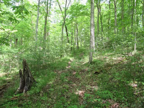 5491 Thomas Rd, Lewis Twp, OH 45121 photo 7