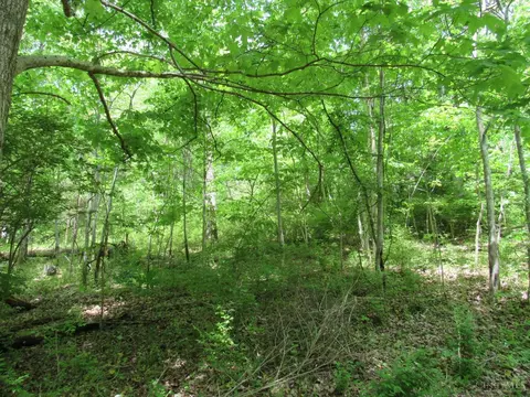 5491 Thomas Rd, Lewis Twp, OH 45121 photo 14