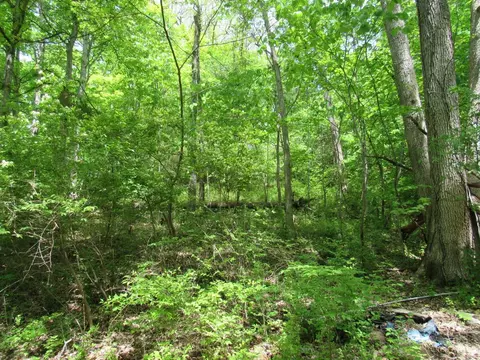 5491 Thomas Rd, Lewis Twp, OH 45121 photo 16