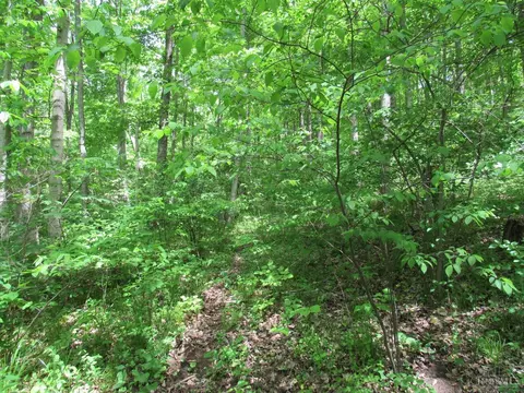5491 Thomas Rd, Lewis Twp, OH 45121 photo 3