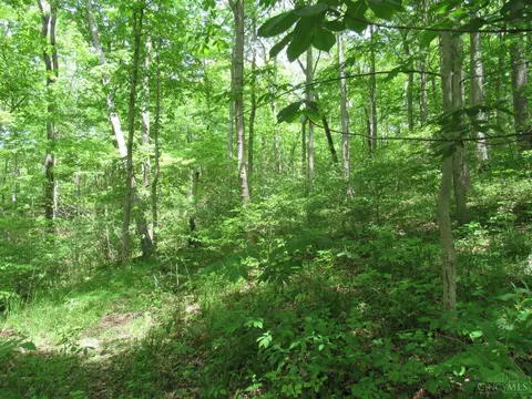 5491 Thomas Rd, Lewis Twp, OH 45121 photo 6