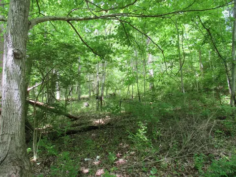 5491 Thomas Rd, Lewis Twp, OH 45121 photo 15
