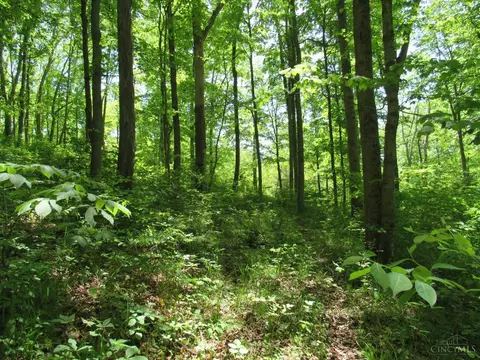5491 Thomas Rd, Lewis Twp, OH 45121 photo 4
