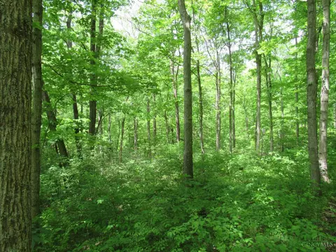 5491 Thomas Rd, Lewis Twp, OH 45121 photo 11