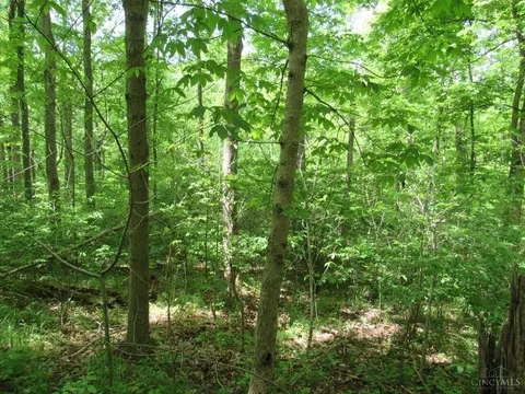 5491 Thomas Rd, Lewis Twp, OH 45121 photo 9