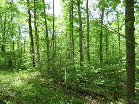 5491 Thomas Rd, Lewis Twp, OH 45121 photo 10