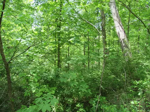 5491 Thomas Rd, Lewis Twp, OH 45121 photo 12