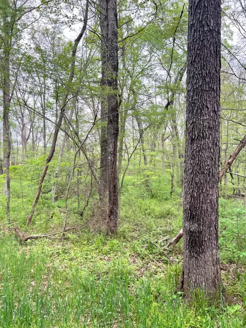 0 Spohn Rd, Jackson, OH 45640 photo 63