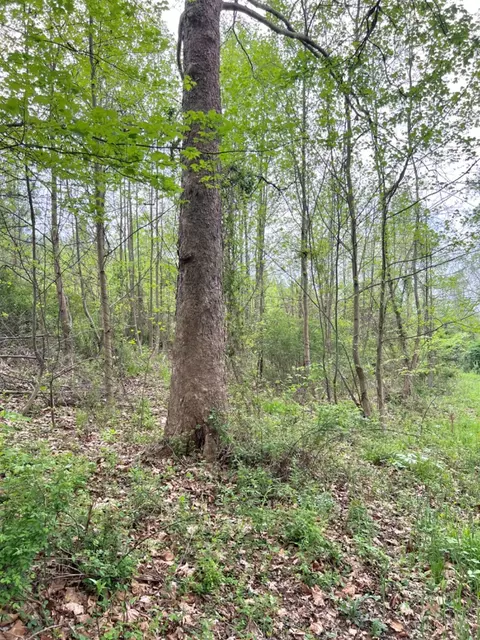 0 Spohn Rd, Jackson, OH 45640 photo 55