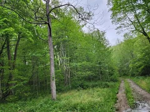 0 Beech Fork Rd, Meigs Twp, OH 45657