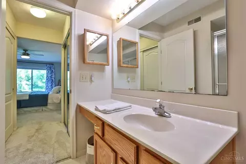Bath - 725 Castlegate Ln #102, Cincinnati, OH 45231 photo 2 of 3