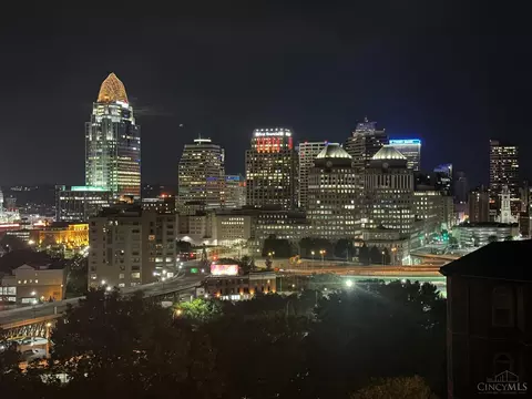 View/Area - 337 Oregon St, Cincinnati, OH 45202 photo 7 of 12