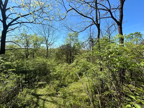 2144 Baltimore Ave, Cincinnati, OH 45225 photo 5