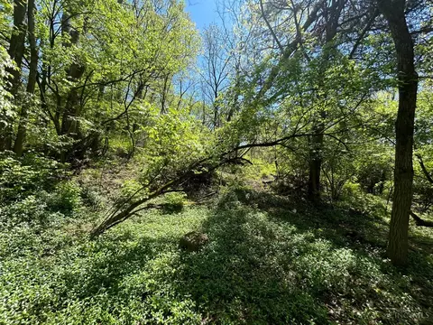2144 Baltimore Ave, Cincinnati, OH 45225 photo 6