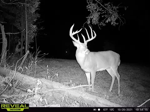 0 St Rt 279, Oak Hill, OH 45656