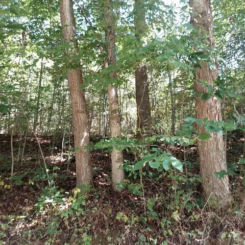 0 Keesee Rd, Vinton, OH 45686 photo 33