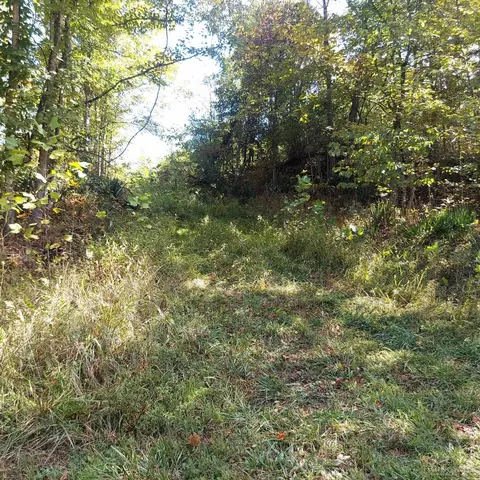 0 Keesee Rd, Vinton, OH 45686 photo 35