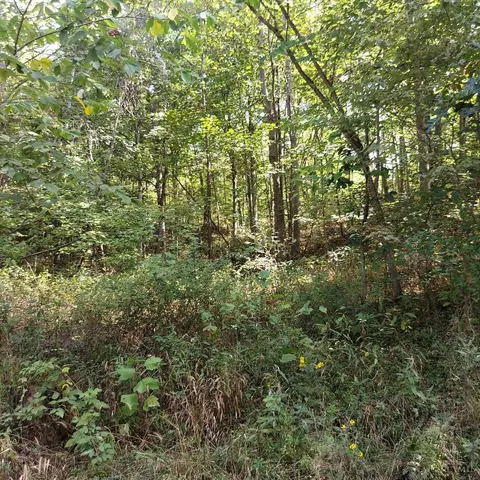 0 Keesee Rd, Vinton, OH 45686 photo 31