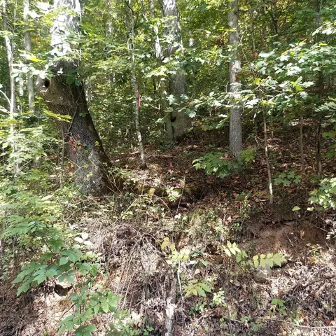 0 Keesee Rd, Vinton, OH 45686 photo 18