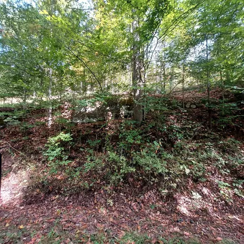 0 Keesee Rd, Vinton, OH 45686 photo 29