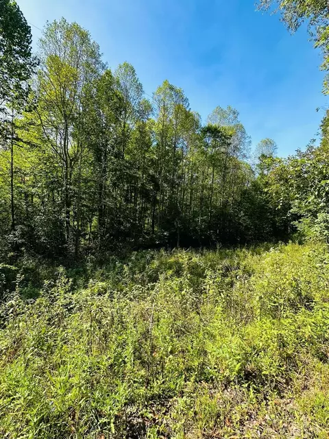 0 Keesee Rd, Vinton, OH 45686