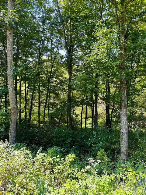 0 Keesee Rd, Vinton, OH 45686 photo 4