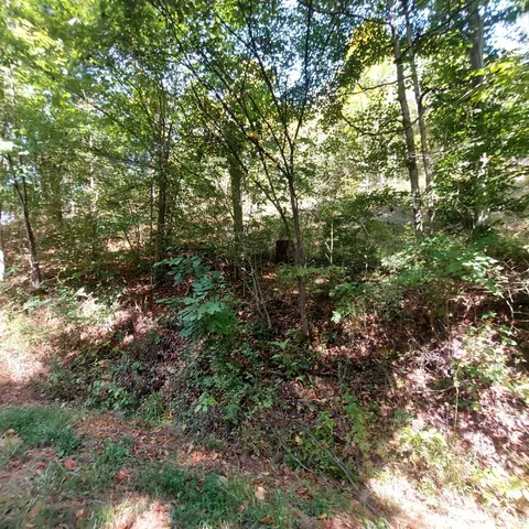 0 Keesee Rd, Vinton, OH 45686 photo 15