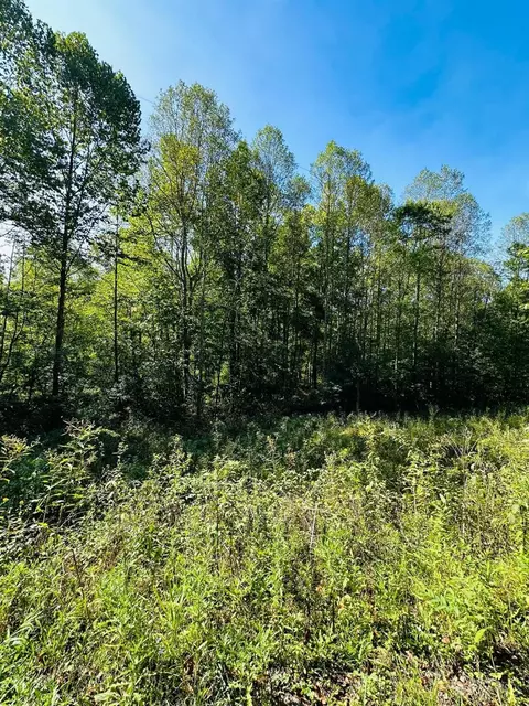 0 Keesee Rd, Vinton, OH 45686 photo 3