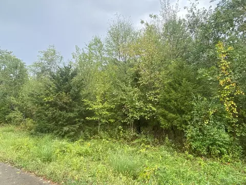 0 Golden Fox Trl #LOT 37, Turtle Creek Twp, OH 45036