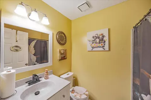10574 Millfarm Ct, Cincinnati, OH 45231 photo 21